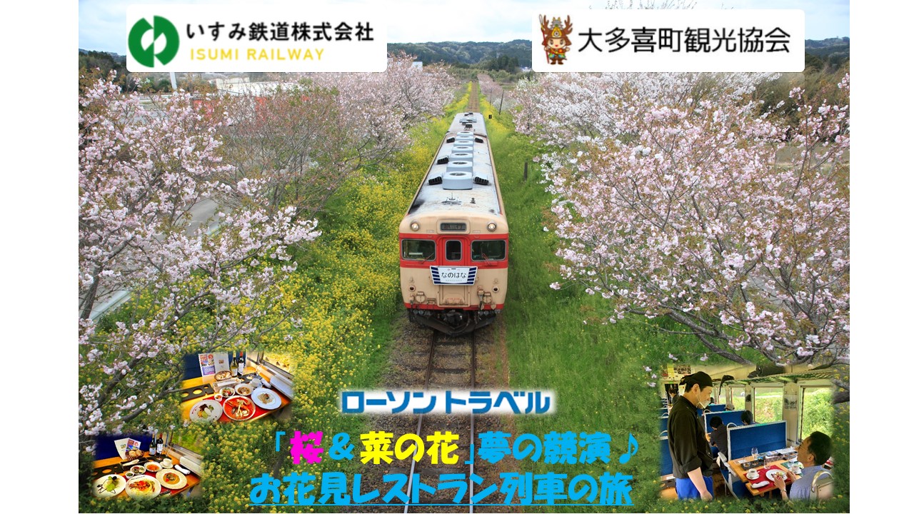 キハ28貸切！「桜＆菜の花」夢の競演♪お花見レストラン列車の旅